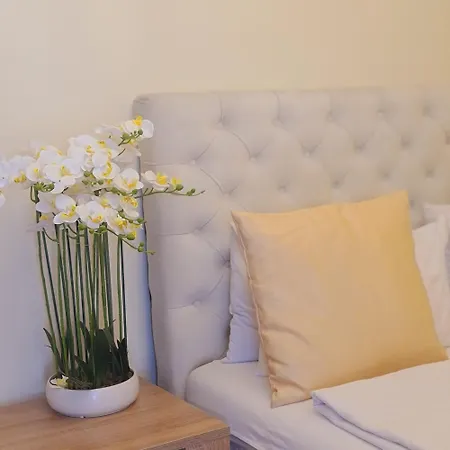 Boss Apartment Vrnjacka Banja