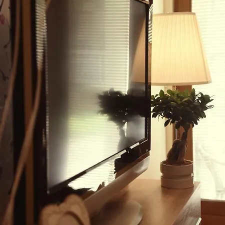 Apartment Boss Vrnjacka Banja